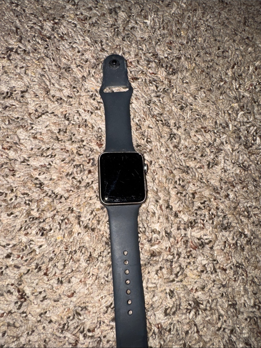 Apple Watch Series 3 42mm with L band